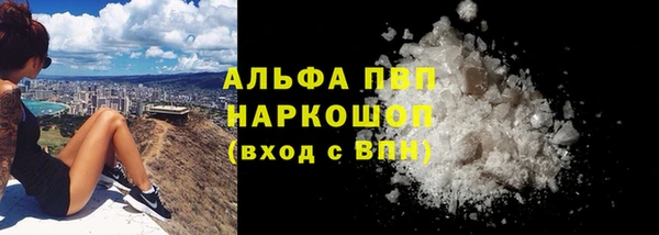 прущий лед Абаза