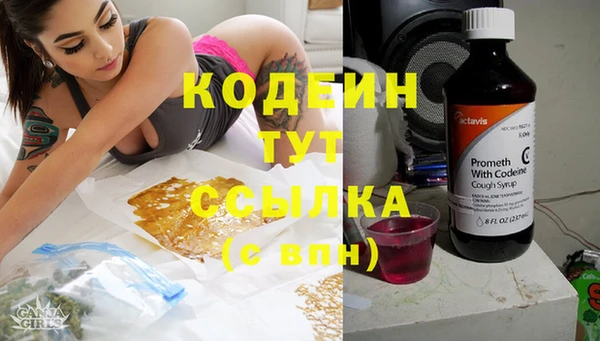 прущий лед Абаза