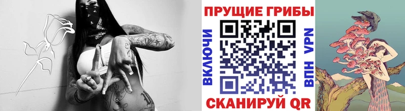 Псилоцибиновые грибы Psilocybe  Сысерть 