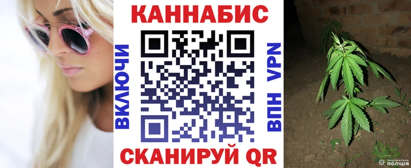 Марихуана OG Kush  Сысерть 